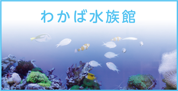 わかば水族館