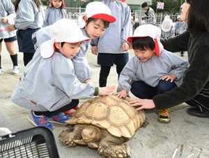 一日動物村